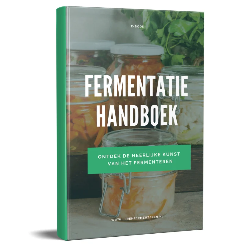 fermentatie-handboek-cover-witte-achtergrond-lerenfermenteren-nl-800x800 Fermenteren voor beginners: de basisprincipes van het thuis fermenteren van voedsel